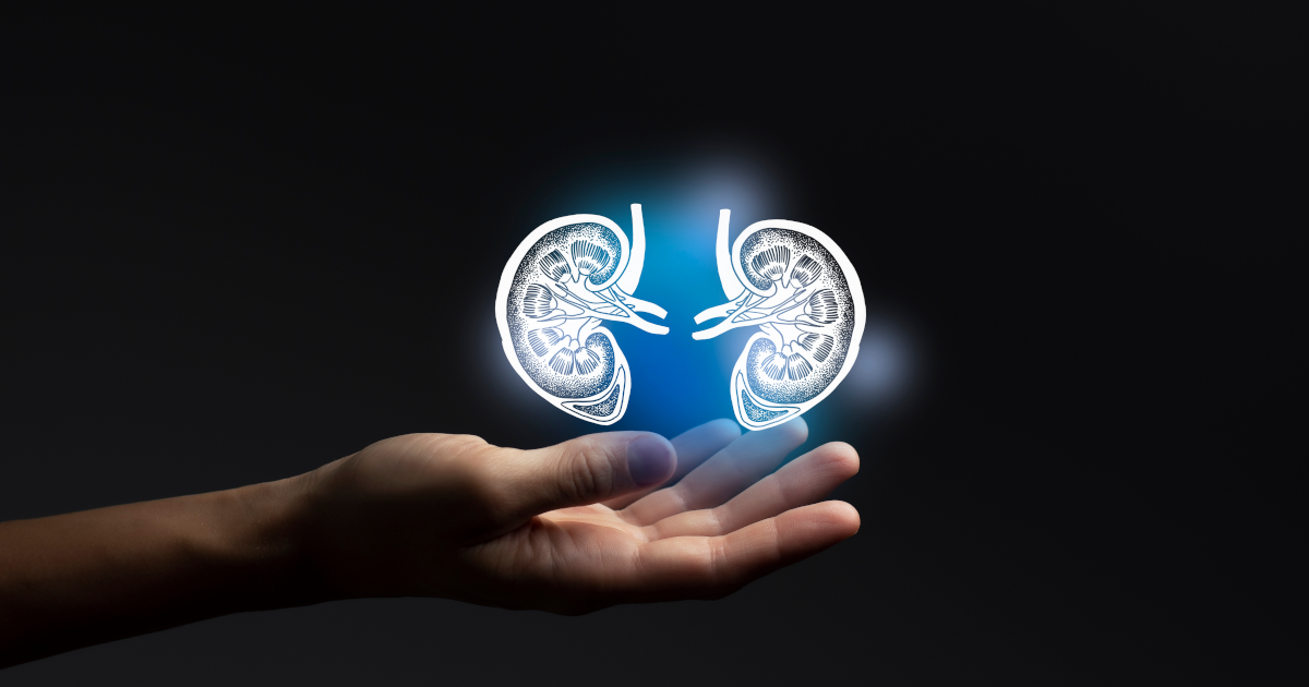 KidneyX Launches Phase 2 of the Artificial Kidney Prize Competition